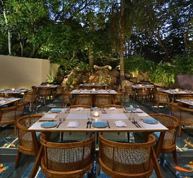 Wind & Water | Poolside & Garden Restaurants in Ahmedabad